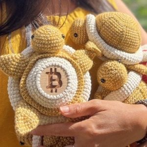 Вязаная черепашка Bitcoin